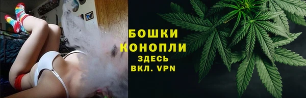 прущие грибы Остров