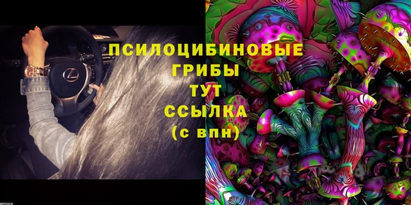 герыч Осинники