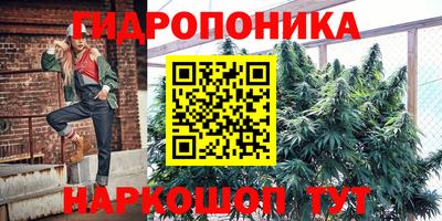 a pvp Малгобек