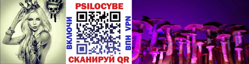 блэк спрут маркетплейс  Приморско-Ахтарск  Псилоцибиновые грибы прущие грибы  где можно купить наркотик 