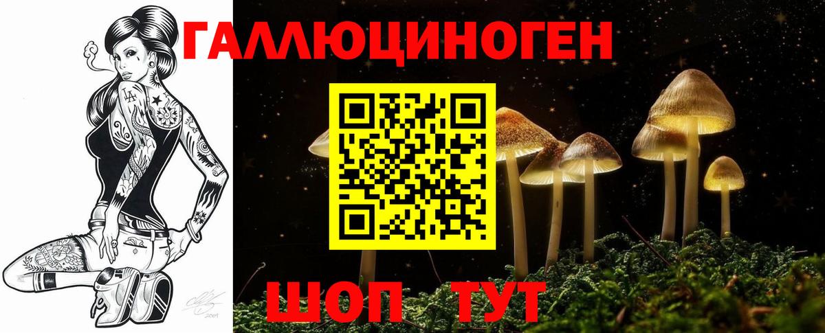 Приморско-Ахтарск  Галлюциногенные грибы мухоморы  Вход с VPN  Галлюциногенные грибы GOLDEN TEACHER 